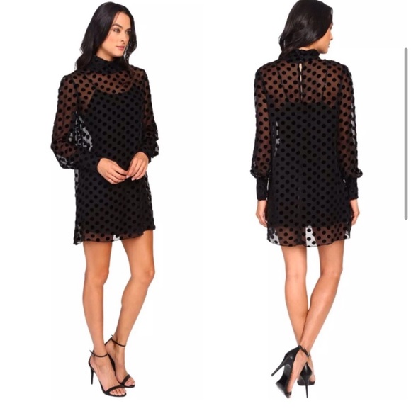 Stone Cold Fox Sheer Velvet Polka Dot Dress - Picture 4 of 16